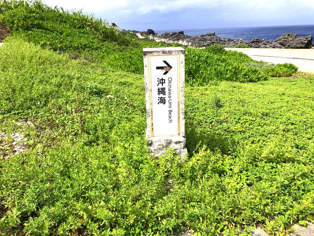 北大東島の沖縄海の看板です。緑と海を両サイドにきれいな風景を楽しみながら沖縄海をめざしてください。周辺に生えている植物は海辺に生える植物で多肉植物のような見た目