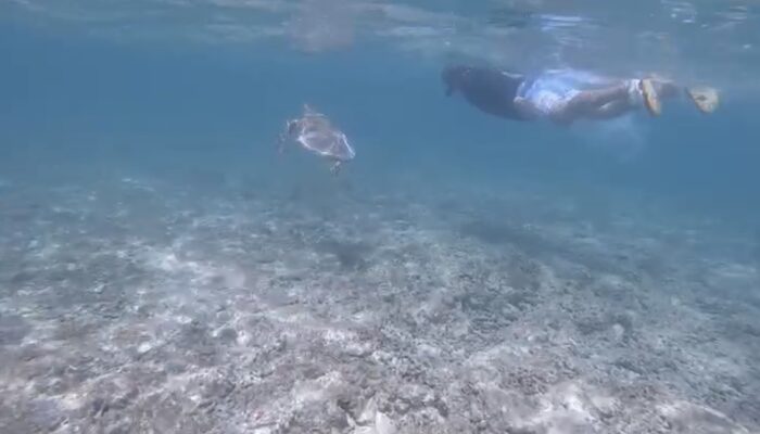 波照間島がおすすめで