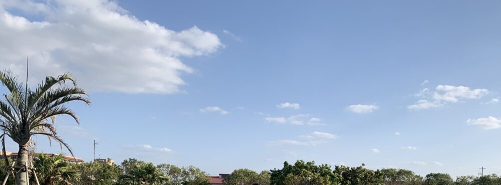 rukaku：イラスト画像